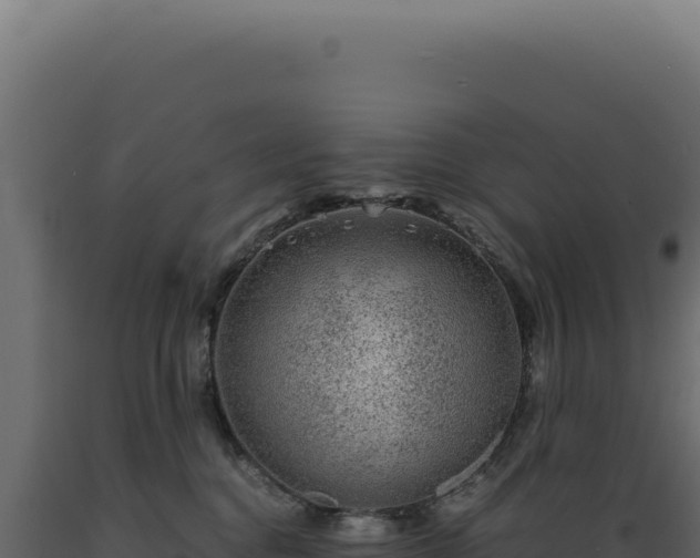 X0000089970376200707061205