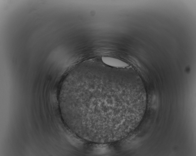 X0000089970377200707061205
