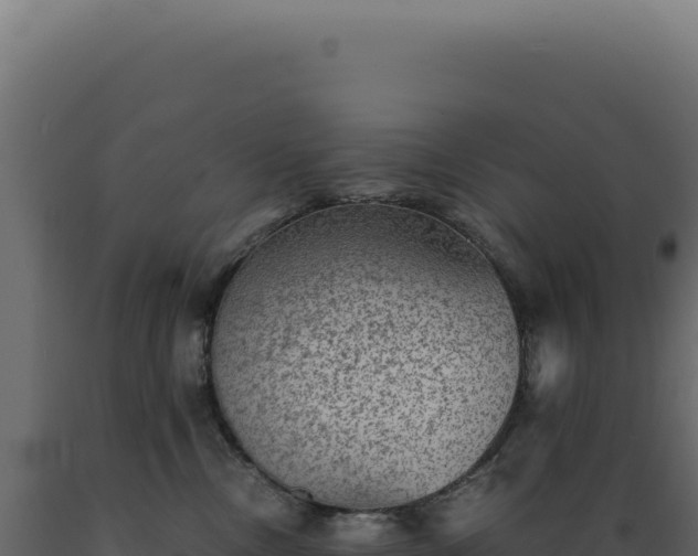 X0000089970378200707061205