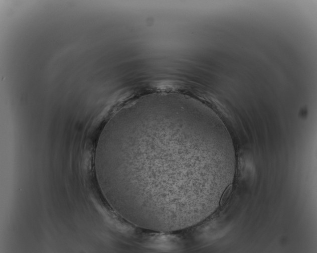 X0000089970379200707061205