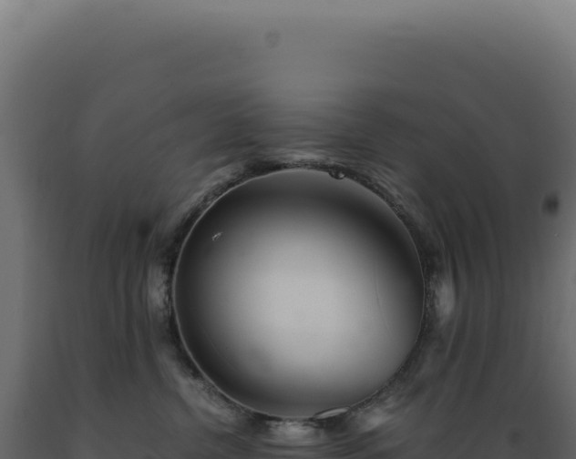 X0000089970380200707061205