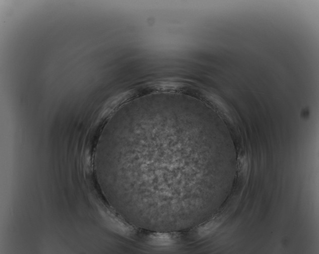 X0000089970381200707061205