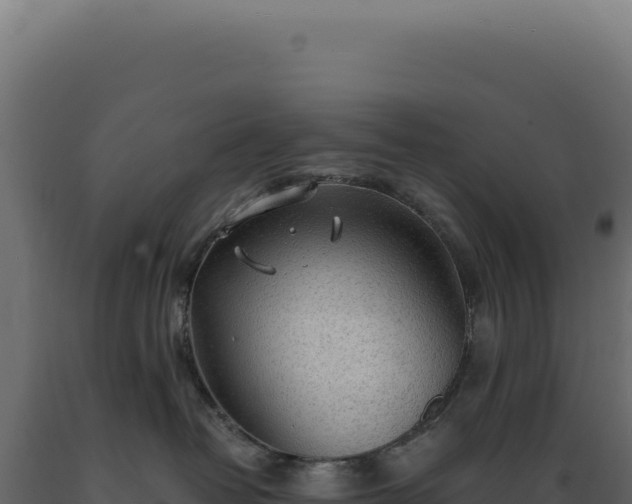 X0000089970382200707061205