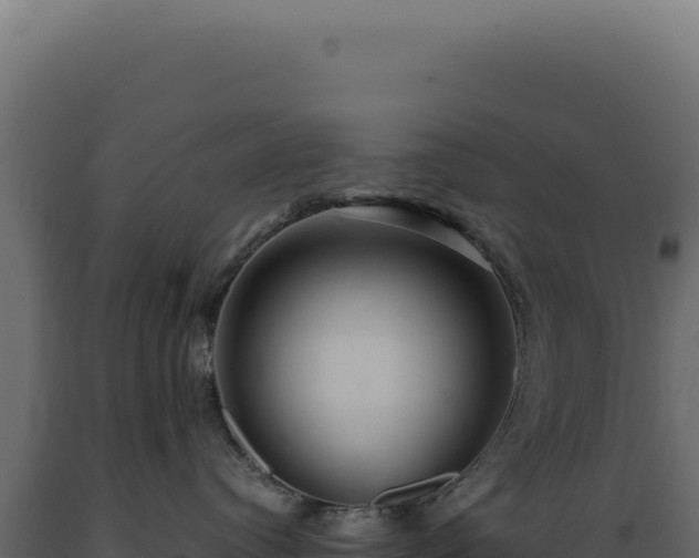 X0000089970384200707061205
