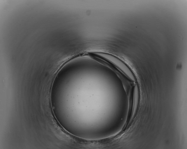 X0000089970385200707061205