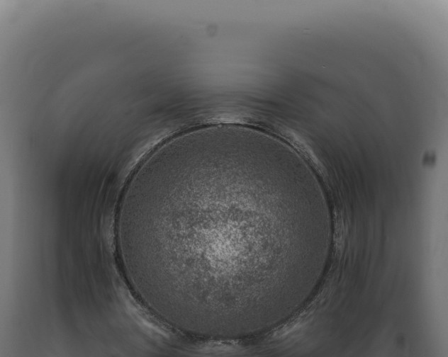 X0000089970386200707061205