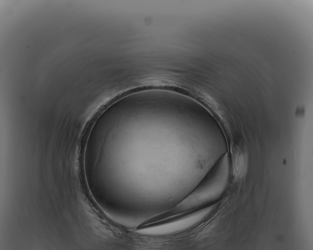 X0000089970387200707061205