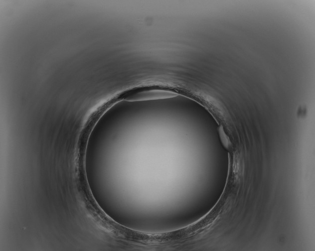 X0000089970388200707061205