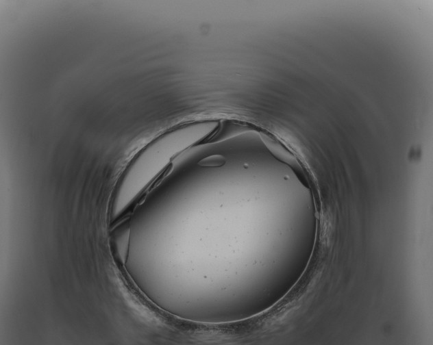 X0000089970389200707061205