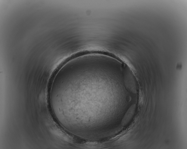 X0000089970391200707061205