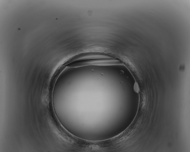 X0000089970392200707061205