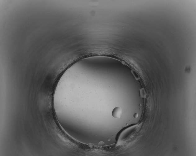 X0000089970393200707061205