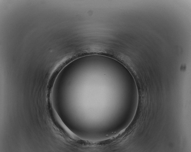 X0000089970395200707061205