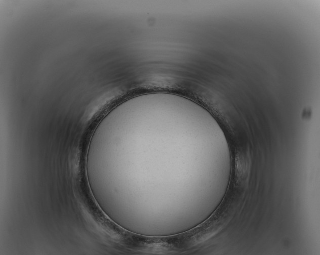 X0000089970396200707061205