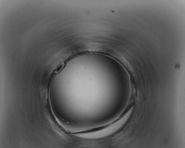 X0000089970397200707061205