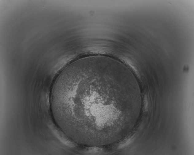 X0000089970398200707061205