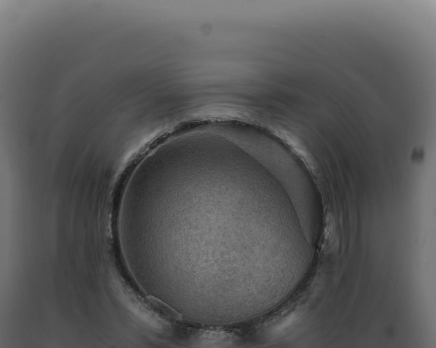 X0000089970399200707061205
