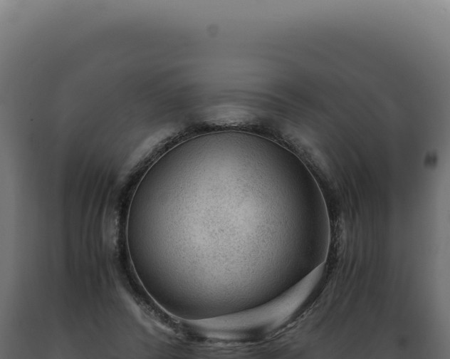 X0000089970400200707061205