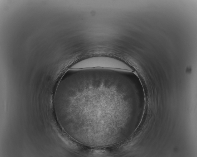 X0000089970401200707061204