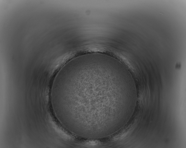 X0000089970402200707061204