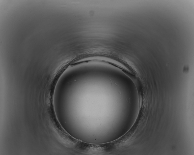X0000089970403200707061204