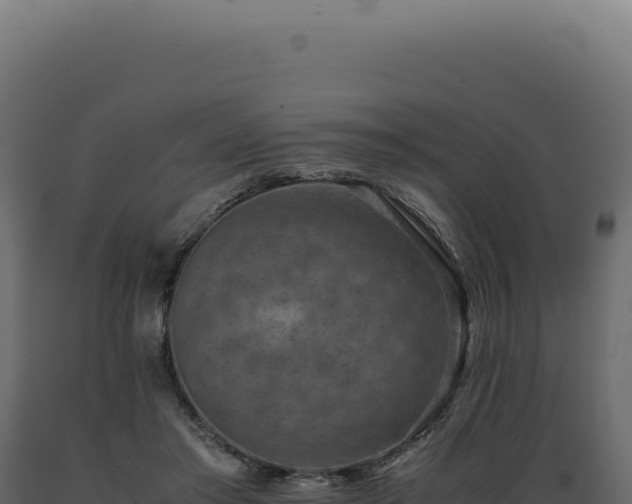 X0000089970405200707061204