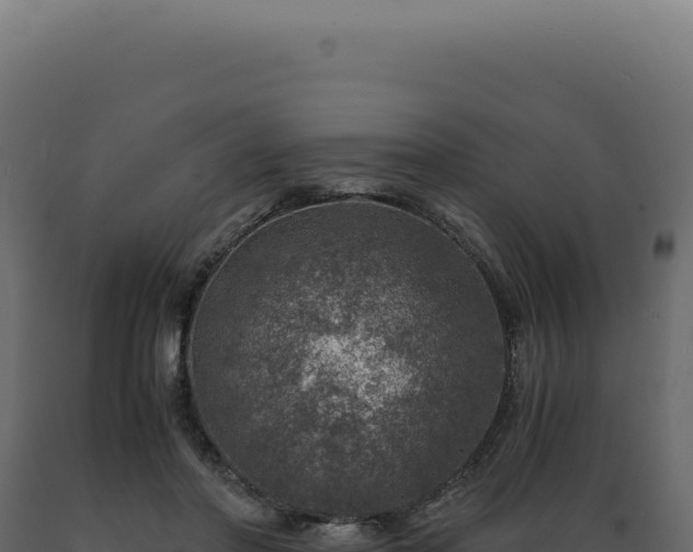 X0000089970406200707061204
