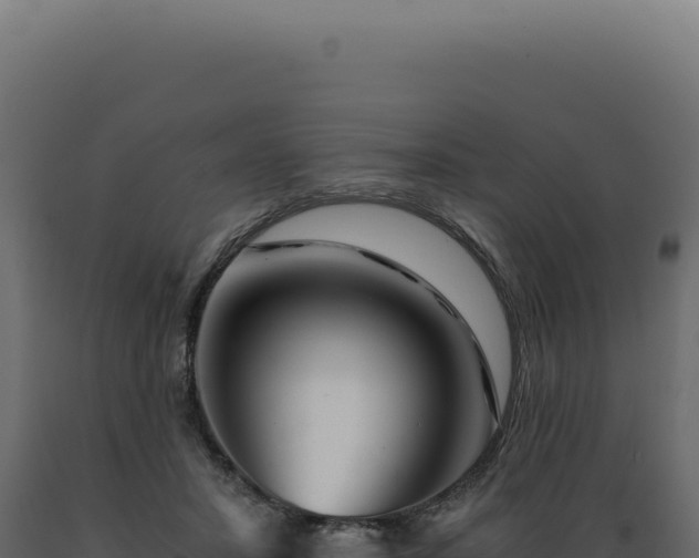X0000089970407200707061204