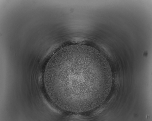 X0000089970408200707061204