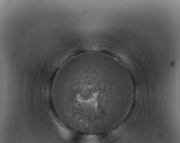 X0000089970409200707061204