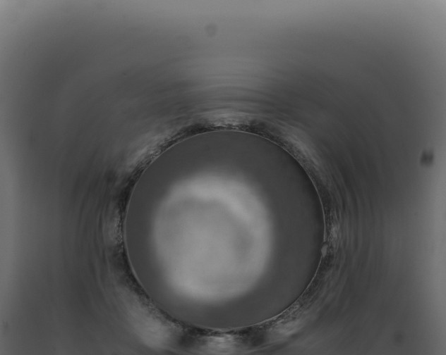 X0000089970411200707061204