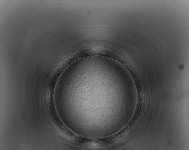 X0000089970412200707061204