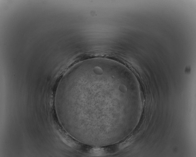 X0000089970413200707061204
