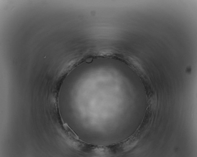 X0000089970415200707061204