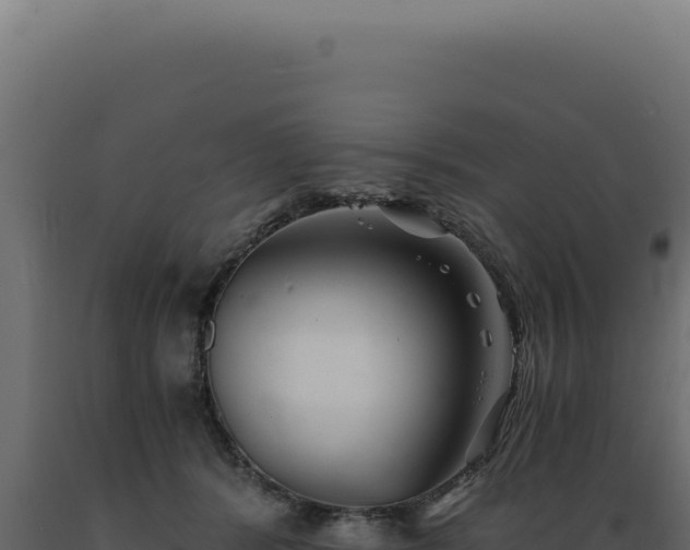 X0000089970416200707061204