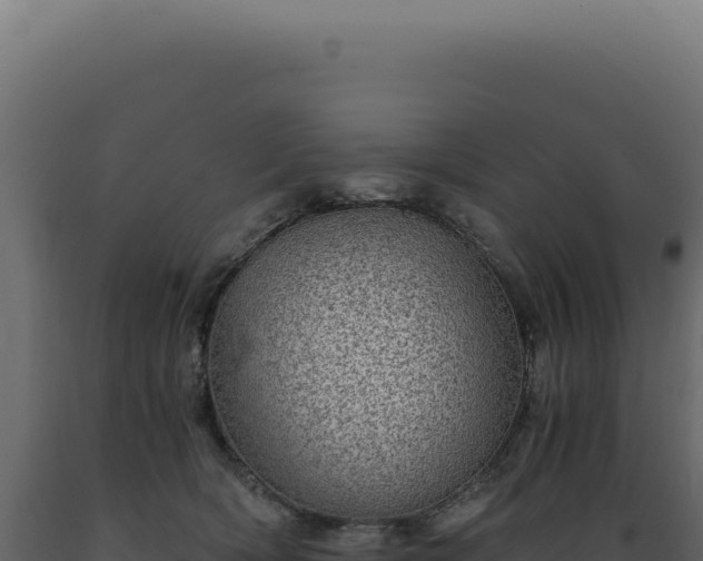 X0000089970418200707061204