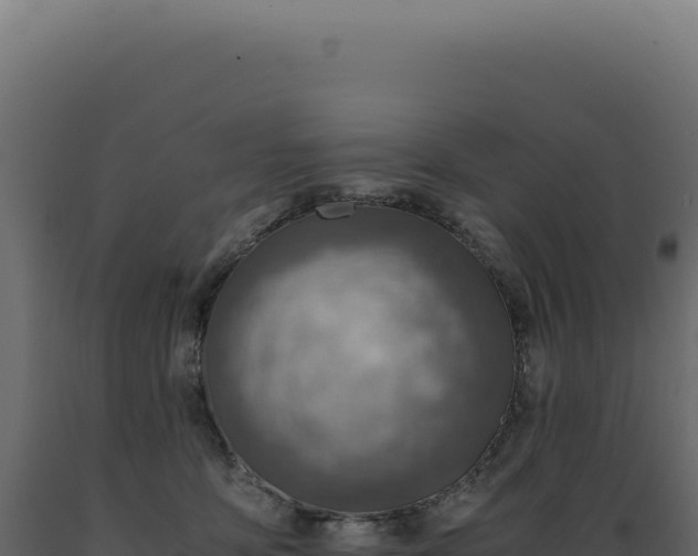 X0000089970419200707061204