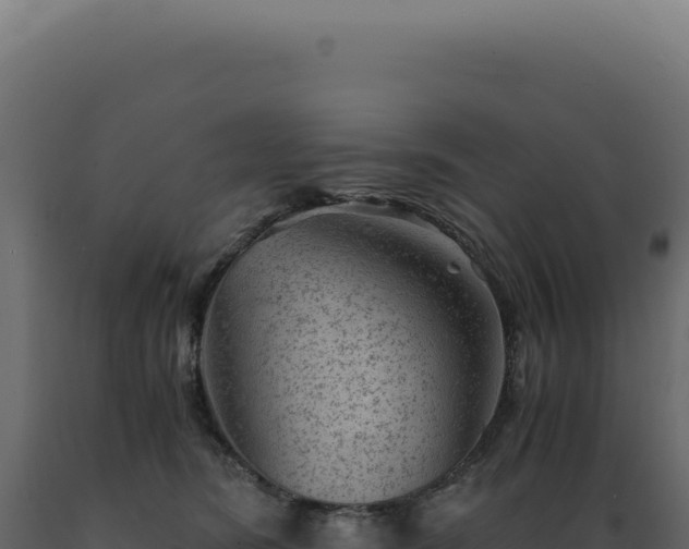 X0000089970420200707061204