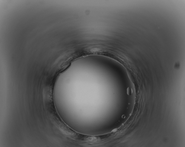 X0000089970421200707061204