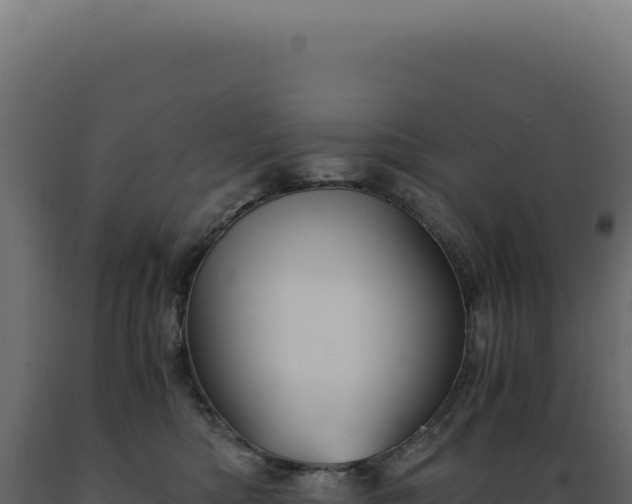 X0000089970422200707061204