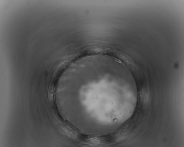 X0000089970423200707061204