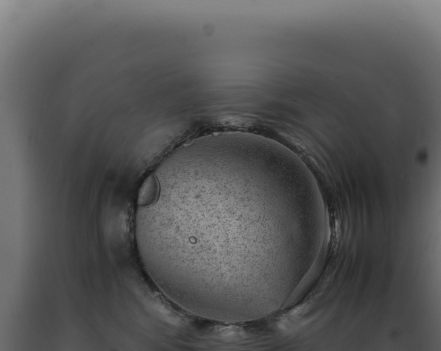 X0000089970424200707061204