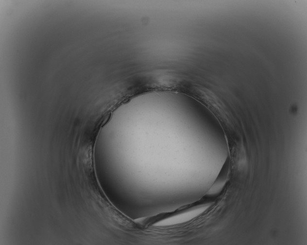 X0000089970425200707061204