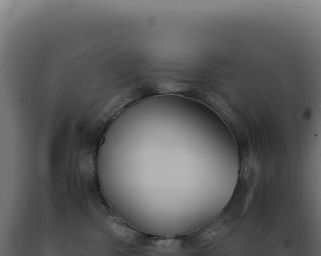 X0000089970426200707061204