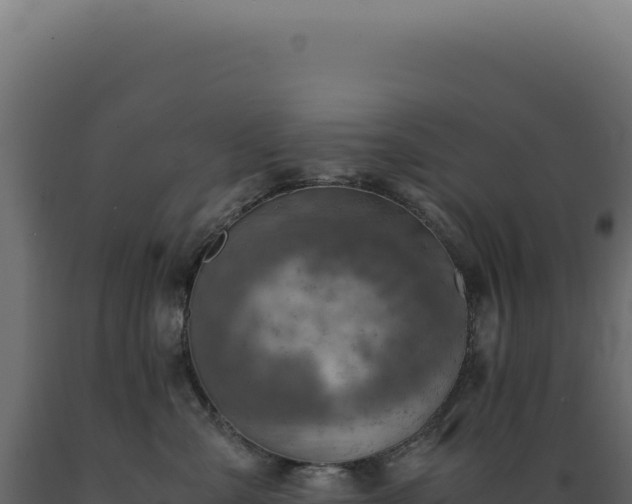 X0000089970427200707061204