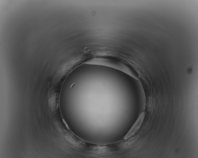X0000089970428200707061204