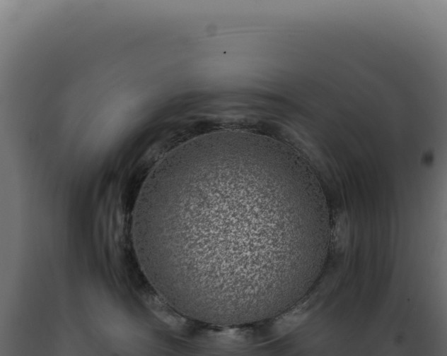 X0000089970430200707061204