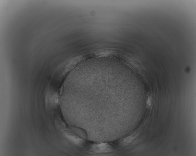 X0000089970431200707061204