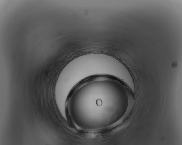 X0000089970432200707061204