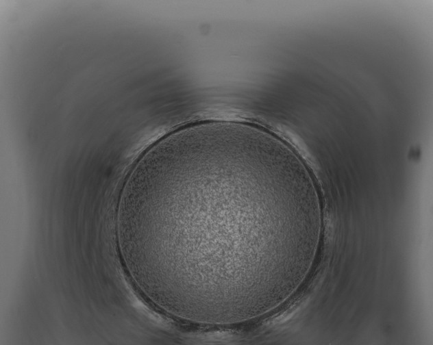 X0000089970433200707061204
